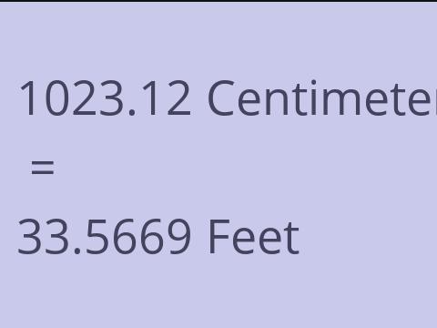 1023.12 CM TO FEET