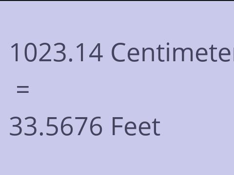 1023.14 CM TO FEET