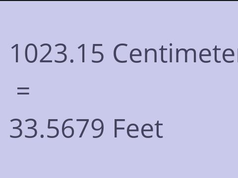 1023.15 CM TO FEET