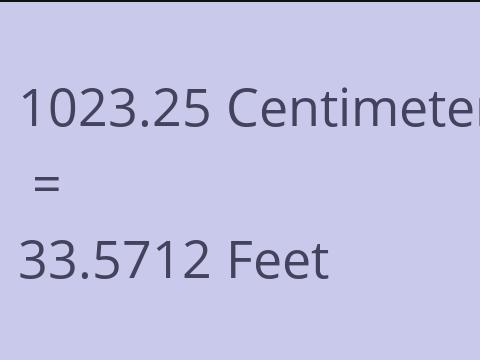 1023.25 CM TO FEET