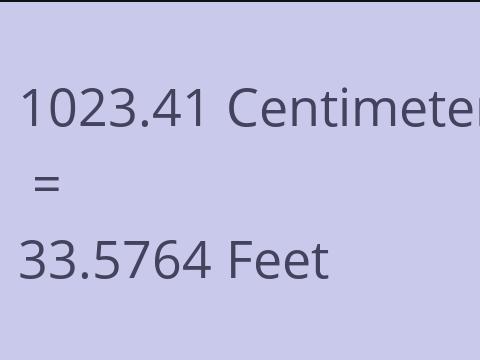 1023.41 CM TO FEET