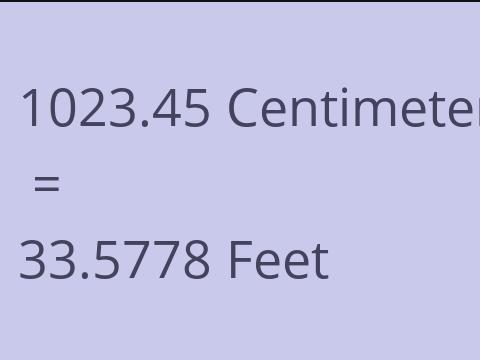 1023.45 CM TO FEET