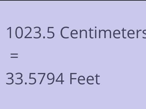 1023.5 CM TO FEET