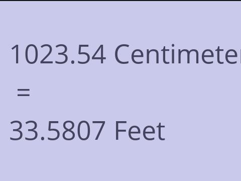 1023.54 CM TO FEET