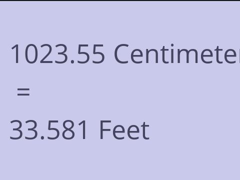 1023.55 CM TO FEET