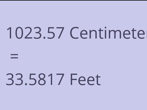 1023.57 CM TO FEET