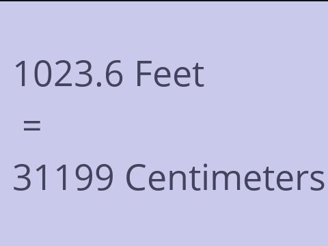 1023.6 FEET TO CM