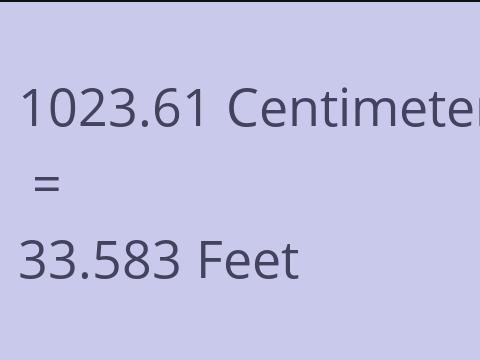 1023.61 CM TO FEET