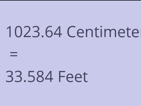 1023.64 CM TO FEET