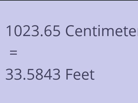 1023.65 CM TO FEET