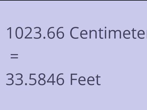 1023.66 CM TO FEET