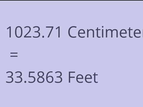 1023.71 CM TO FEET