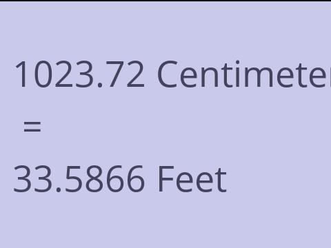 1023.72 CM TO FEET