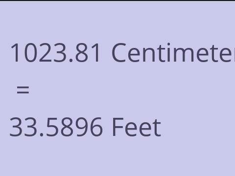 1023.81 CM TO FEET