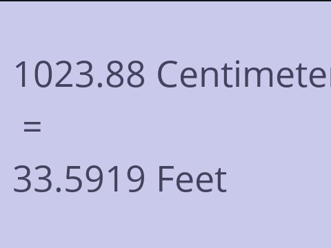 1023.88 CM TO FEET