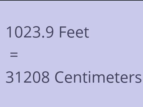 1023.9 FEET TO CM