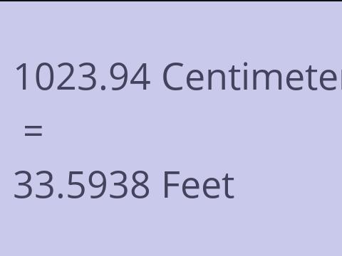 1023.94 CM TO FEET