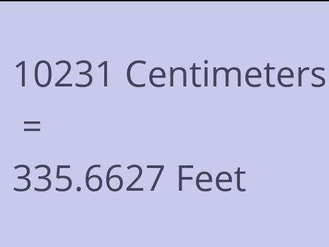 10231 CM TO FEET