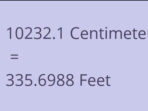 10232.1 CM TO FEET