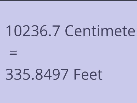 10236.7 CM TO FEET