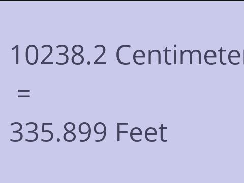 10238.2 CM TO FEET