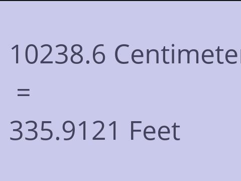 10238.6 CM TO FEET