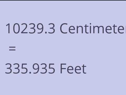 10239.3 CM TO FEET