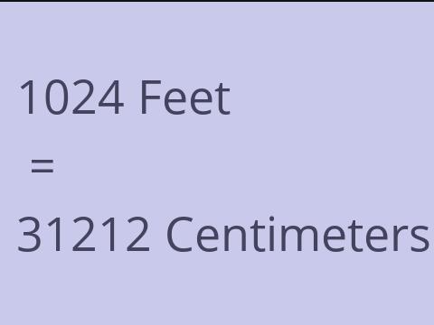 1024 FEET TO CM