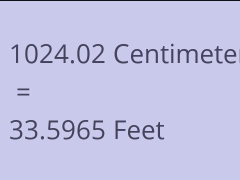 1024.02 CM TO FEET