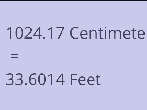 1024.17 CM TO FEET