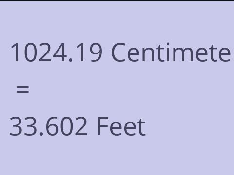 1024.19 CM TO FEET