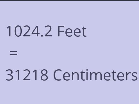 1024.2 FEET TO CM