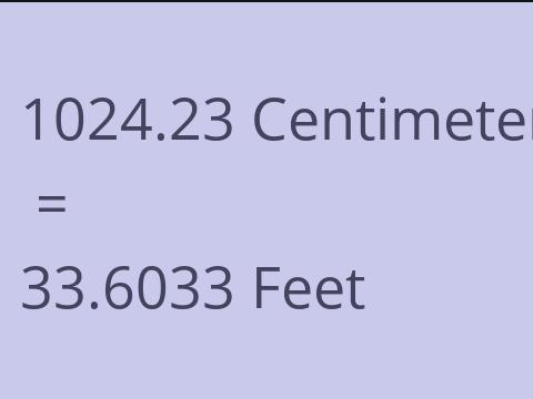 1024.23 CM TO FEET