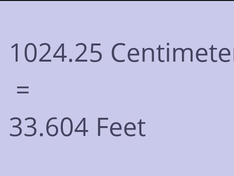 1024.25 CM TO FEET