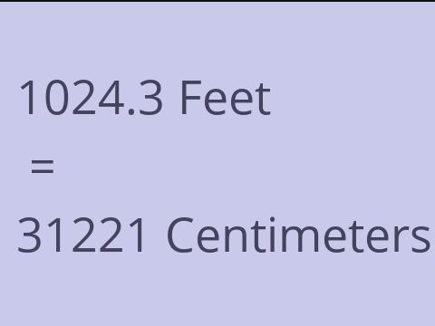 1024.3 FEET TO CM