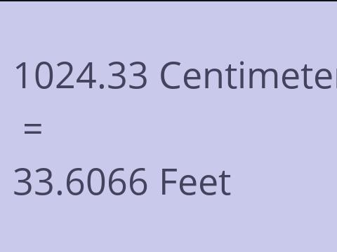 1024.33 CM TO FEET