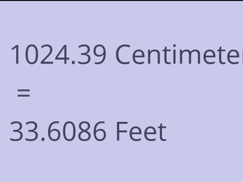 1024.39 CM TO FEET