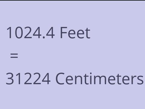 1024.4 FEET TO CM