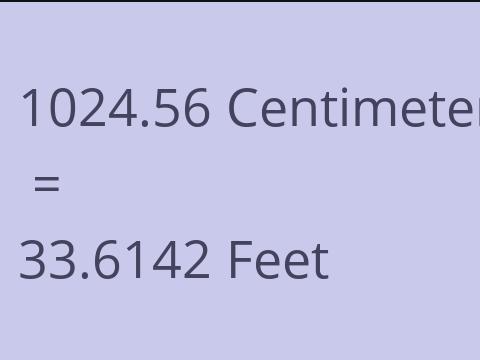 1024.56 CM TO FEET