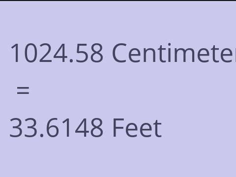 1024.58 CM TO FEET