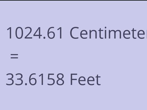 1024.61 CM TO FEET