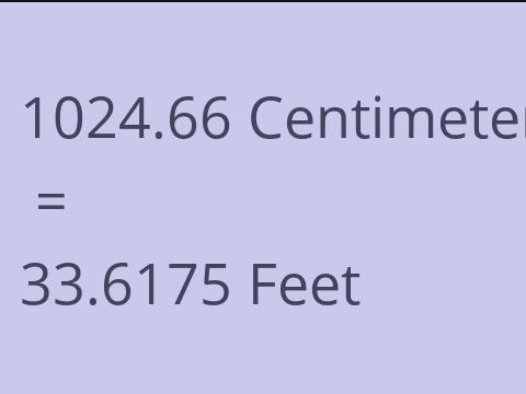 1024.66 CM TO FEET