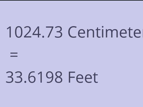 1024.73 CM TO FEET