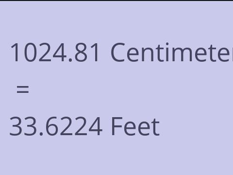 1024.81 CM TO FEET