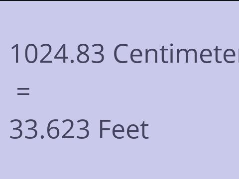 1024.83 CM TO FEET