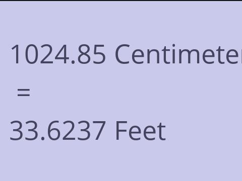 1024.85 CM TO FEET