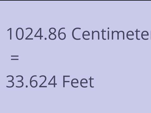 1024.86 CM TO FEET