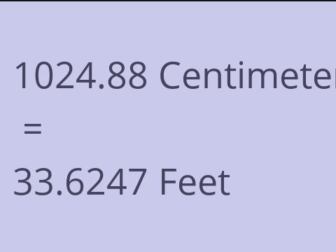 1024.88 CM TO FEET