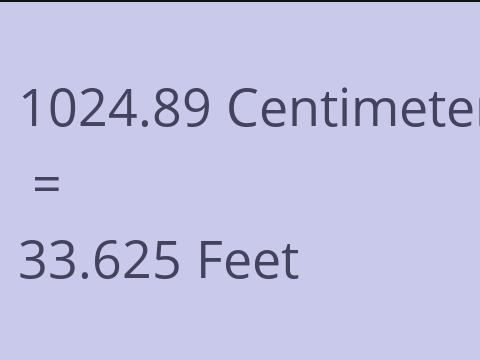 1024.89 CM TO FEET