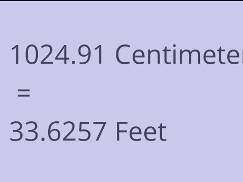 1024.91 CM TO FEET